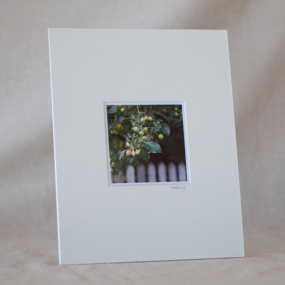 "Apple Harvest #1" Mini Photography Art Print